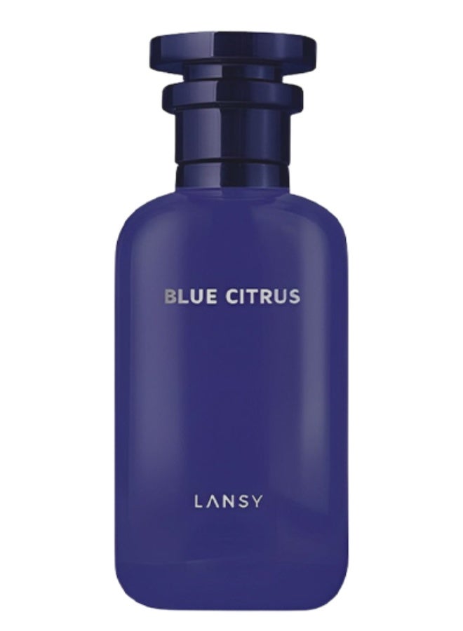 Lansy Blue Citrus Perfume For Men 100ml EDP - Image 2