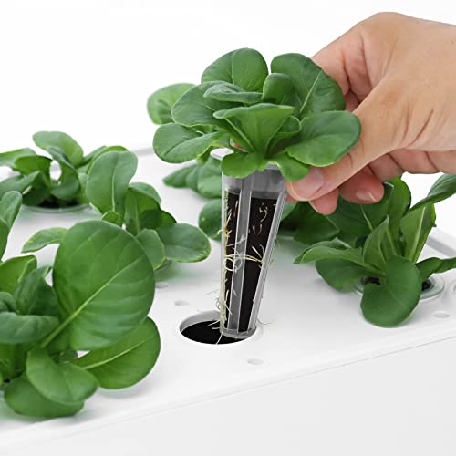 iDOO Growth Sponges 60 Pcs, Replacement Hydroponics Sponges Compatible with AeroGarden LYKO and All Indoor Hydroponics Growing System Indoor Garden (Except ID-IG201) Hydroponics Supplies - Image 2