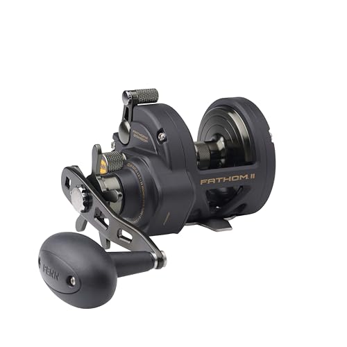 PENN Fathom II Star Drag Reel, Size 25 Fishing Reel, Right Handle Position, Gear Ratio 4.8:1, Black Gold - Image 1