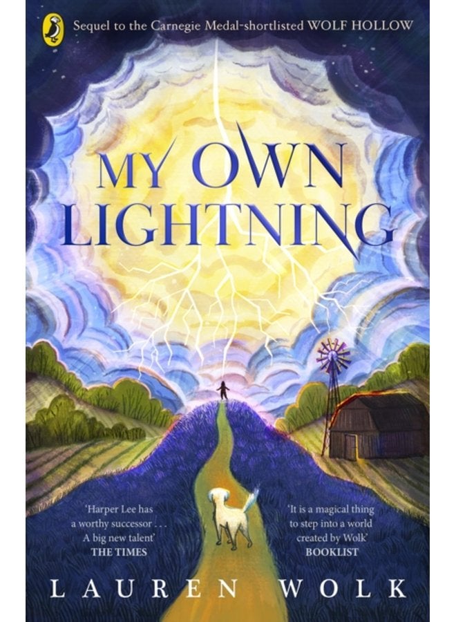 My Own Lightning - Paperback