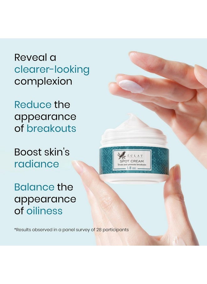 Eclat Skincare - Eclat Skincare Spot Treatment for Face - Salicylic Acid Pimple Spot Treatment for Face - Spot Cream Pimple Cream Facial Blemish Spot Treatment - Cystic Hormonal Spot Treatment Face Moisturizer - Image 1