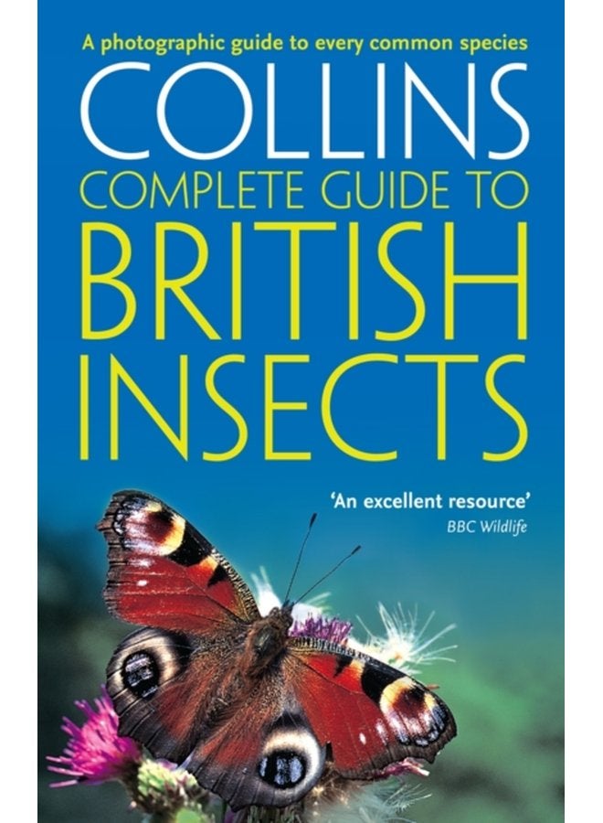 British Insects A Photographic Guide to Every Common Species - Paperback
