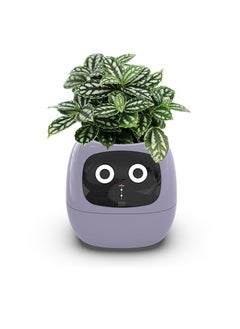 EVEREEN Tuya Ivy Smart Planter,Endless Fun Over 49 Rich Expressions,7 smart sensors,AI Chips Make Raising Plants Easy and Fun(Purple)  - Image 4