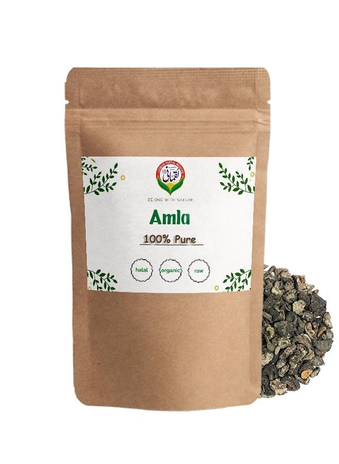 Amla Dried Indian Gooseberry 100 gm Raw - pzsku/Z946FDF457148F704E83AZ/45/_/1657026103/8884c235-f1b1-44d7-8047-9f25379e99e0