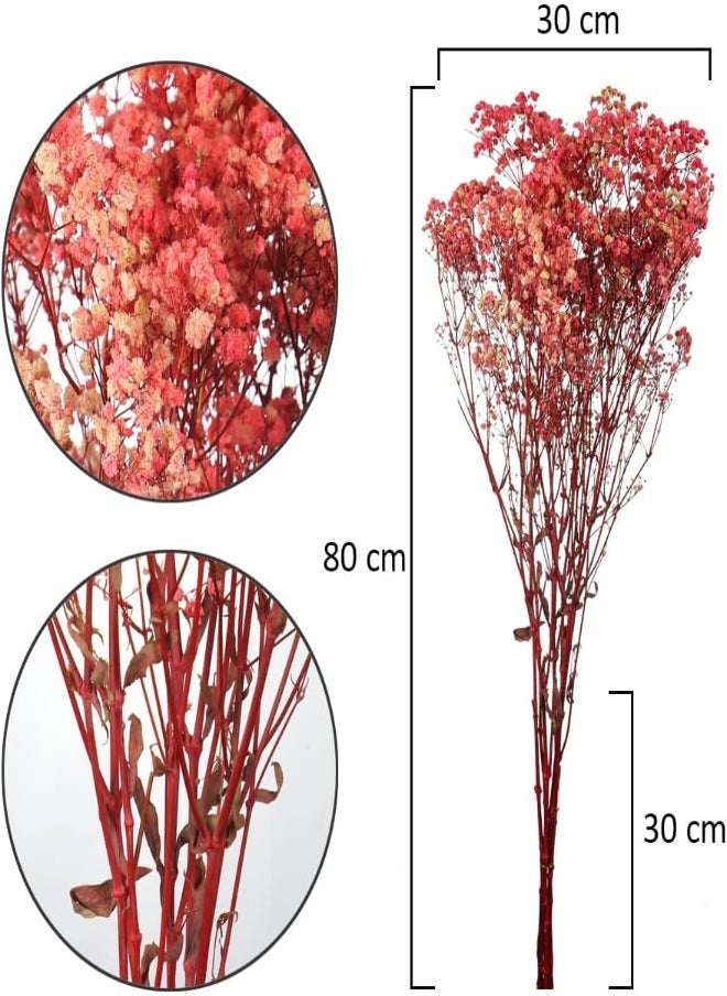 Yatai - Dried-Flowers-Babys-Breath, Durable, Non-Fading Artificial Flowers, Natural Gypsophila Branches for Home Decor, Office Decor, Wedding, Fake Flowers for Table Vase Décor - Image 1