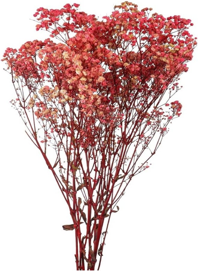 Yatai - Dried-Flowers-Babys-Breath, Durable, Non-Fading Artificial Flowers, Natural Gypsophila Branches for Home Decor, Office Decor, Wedding, Fake Flowers for Table Vase Décor - Image 1