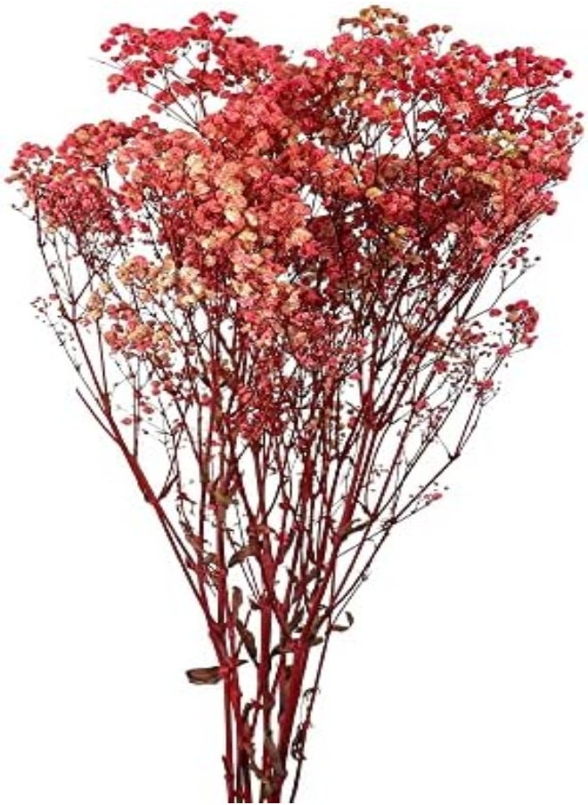 Yatai - Dried-Flowers-Babys-Breath, Durable, Non-Fading Artificial Flowers, Natural Gypsophila Branches for Home Decor, Office Decor, Wedding, Fake Flowers for Table Vase Décor - Image 1