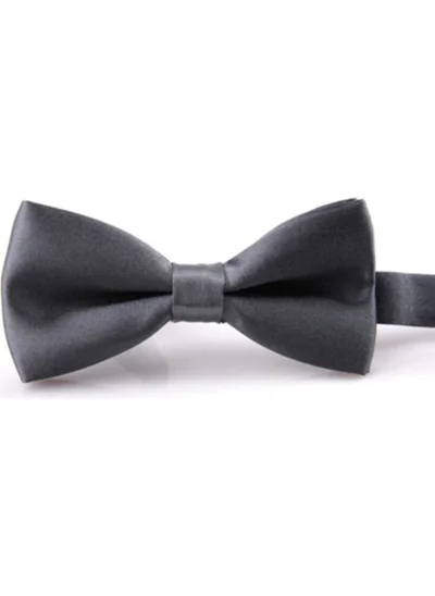 Varetta Men's Gray Satin Fabric Bowtie