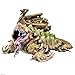 Dungeons & Lasers Dungeons Lasers Dragon Turtle Miniature Large Figure for Use with DND and 5E Compatible RPG Games Unpainted and Unassembled for Ages 14 Years and up - Image 2