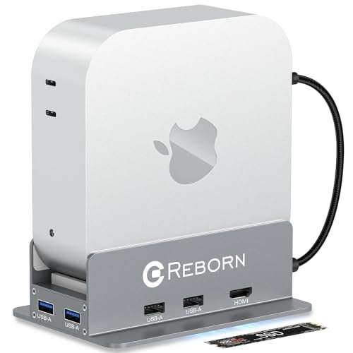 Reborn Mac mini M4 Dock & Stand with NVMe SSD Enclosure, Mac Mini M4 Hub with 4K60Hz HDMI, 4K60Hz DP, 5G USB A*2, USB A 2.0*2, TF/SD Card Reader 9-in-1 USB Hub for Mac mini M4,Mac mini M4 Pro - Silver - Image 1