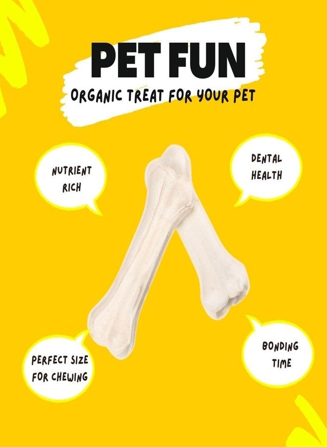 PET FUN عظام مضغ للكلاب من بيت فن - مكافآت غنية بالكالسيوم للكلاب متوسطة الحجم إلى البالغة | عظام مضغ متينة لتحسين صحة الفم وتقوية العظام، مكافآت صالحة للأكل للتدريب والمضغ (8 بوصة - عبوة من 1) - Image 3
