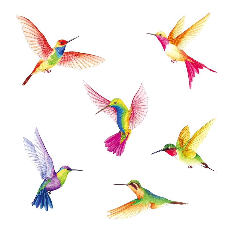 BASHOM DS24002 Hummingbirds Wall Stickers Decals Kids Peel and Stick Removable for Nursery Bedroom Living Room Art murals Decorations Vinyl Spring Flying