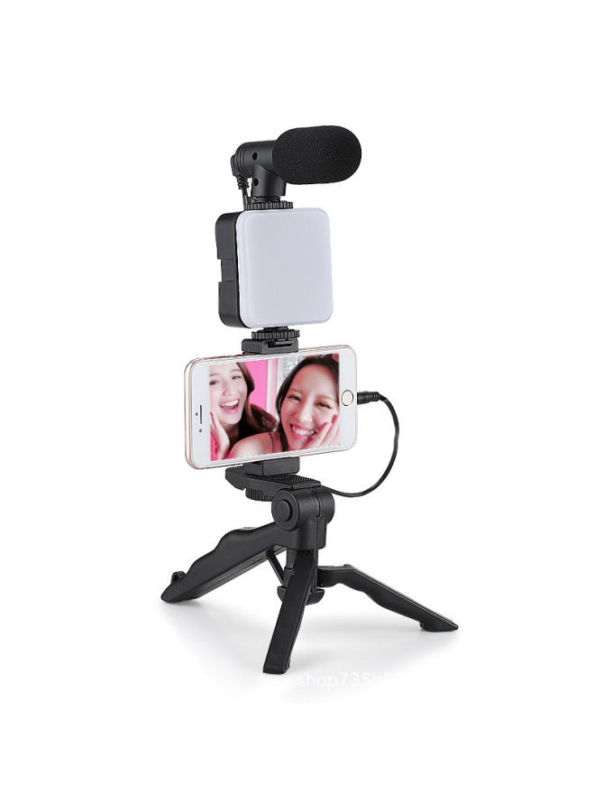 Desktop Beauty Leg Pocket Fill Light With Microphone Suit SLR Conference Light Handheld Photography With Microphone-Specifications:Bgd-11e  - Image 5