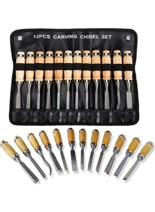 Ctn Paltava - 12 Piece Professional Chisel Wooden Handle Carving Set with Special Bag - Image 1