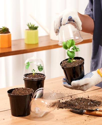homenote Nursery Pots for Plants3 Inch Plant Pot for Planting with Humidity Domes Plastic Seedling with Drainage Holes Seed Starter Flower with 10 Labels Black 30 Pack - Image 3