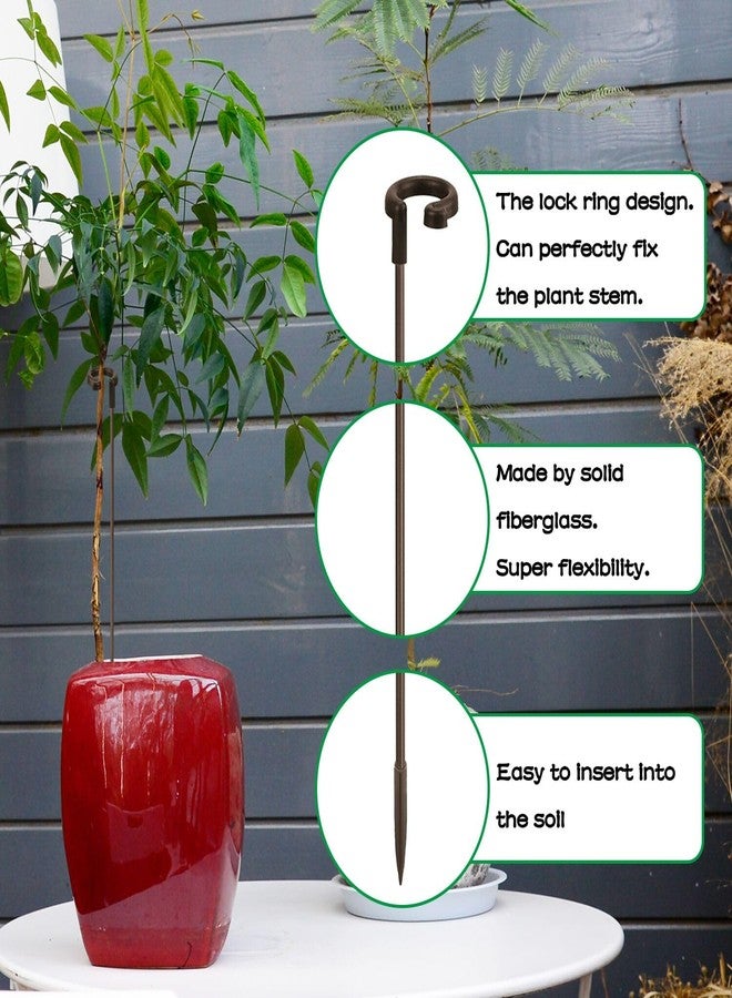SupKing Invisible Plant Stakes 16Pcs SupKing 17 inch &11 inch Plant Sticks with Clips for Support Small Short Plants,Garden Stakes Poles Suit for Potted Plants Flowers Orchid Peony Rose(Brown) - Image 3