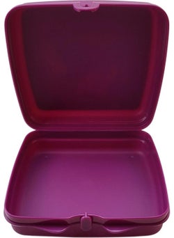 Tupperware Frozen Anna-Elsa Sandwich Box  - Image 3