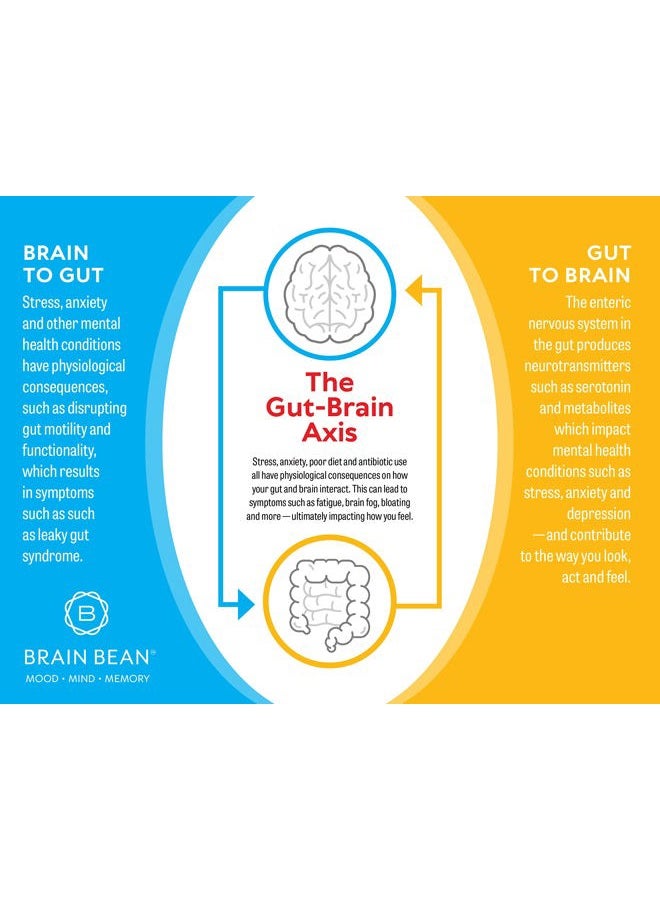 Brain-Bean Basics Ultra Pure IgG Supplement - Dairy-Free Supplement IgG-Immunolin Powder, Blended Vitamin & Mineral Supplements, 150g, 60 Servings - Image 4