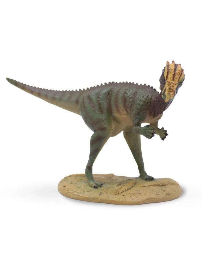 CollectA Pachycephalosaurus Figurine - Image 3