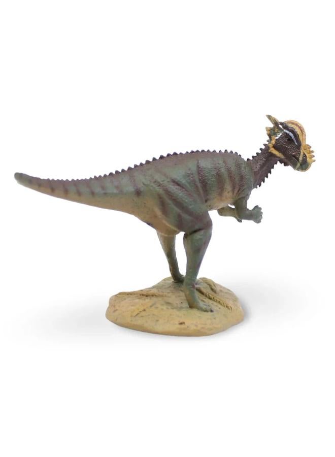 CollectA Pachycephalosaurus Figurine - Image 2