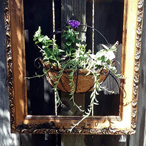 Orgrimmar 2 Pcs Iron Wall Hanging Planters Basket 9.8 Inches Half Round Plant Flower Wall Holder with Coco Coir Liner Plant Hanger Decoration for Garden Porch Balcony Indoor Outdoor - Image 4