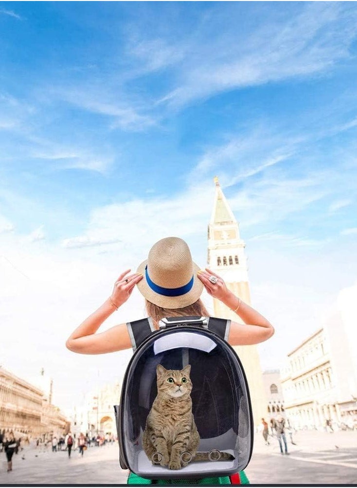 Transparent Pet Travel Backpack - Comfortable Outdoor Hiking Carrier for Small Cats and Dogs