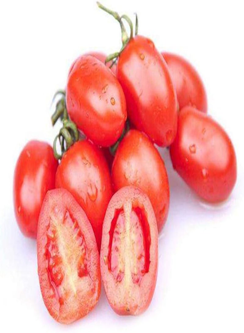 GGOOT 300Pcs Tomato Seeds, Premium Heirloom Vegetable Seeds One of The Most Delicious Tomatoes for Home Growing - Image 3