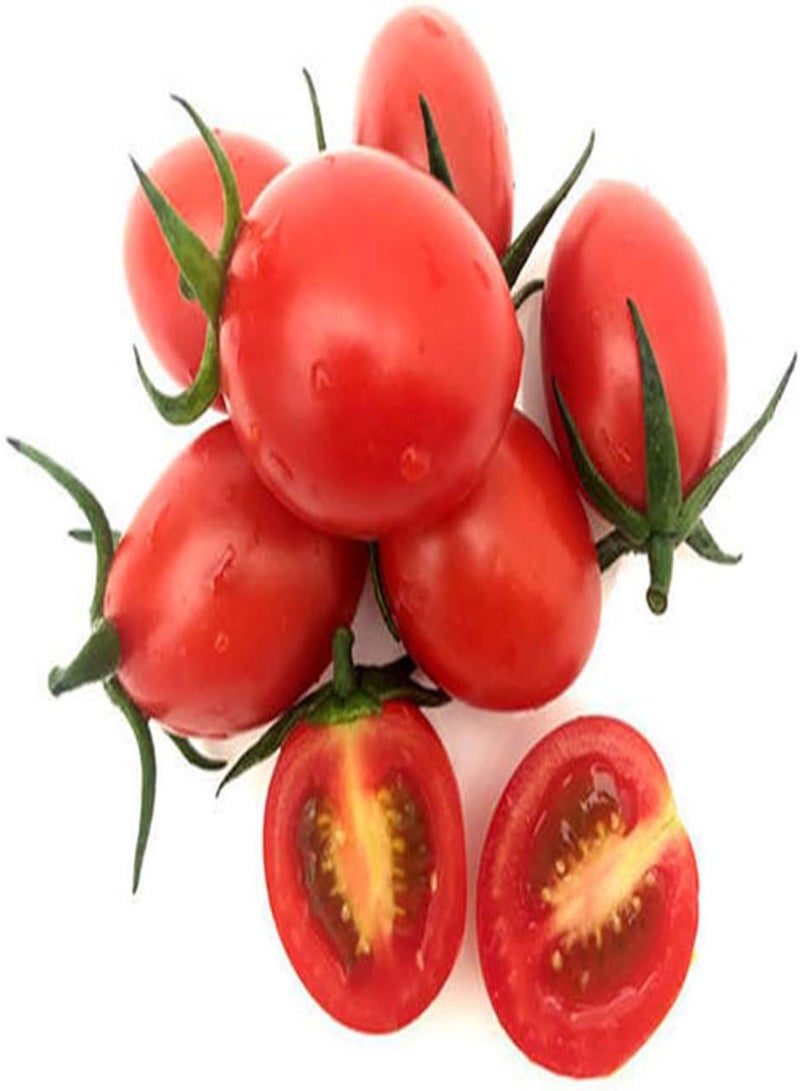 GGOOT 300Pcs Tomato Seeds, Premium Heirloom Vegetable Seeds One of The Most Delicious Tomatoes for Home Growing - Image 1
