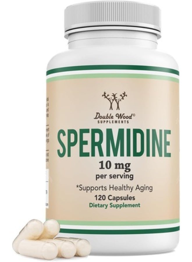 Double Wood Supplements Spermidine 10mg, *Supports Healthy Aging, 120 Capsules - Image 1