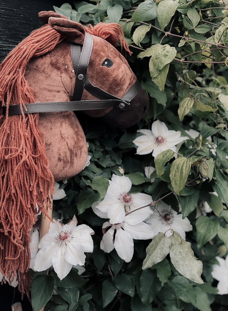 by ASTRUP Hobby Horse - Brown
