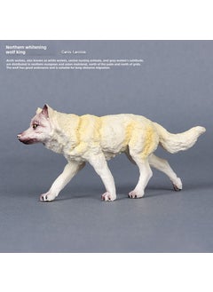 Simulation wild animal model Wolf monkey lion Fox chameleon parrot bat pangolin squirrel Chinchilla donkey sloth White Wolf King
