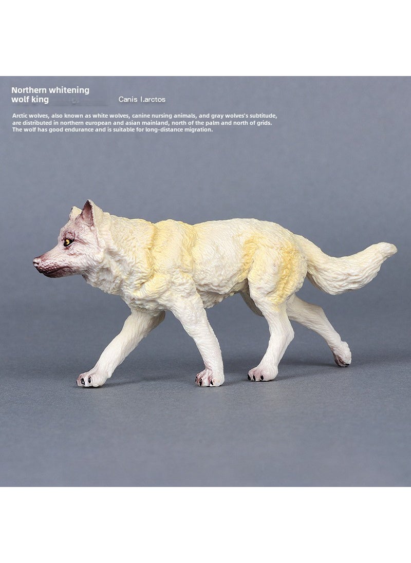 Generic - Simulation wild animal model Wolf monkey lion Fox chameleon parrot bat pangolin squirrel Chinchilla donkey sloth White Wolf King - Image 1