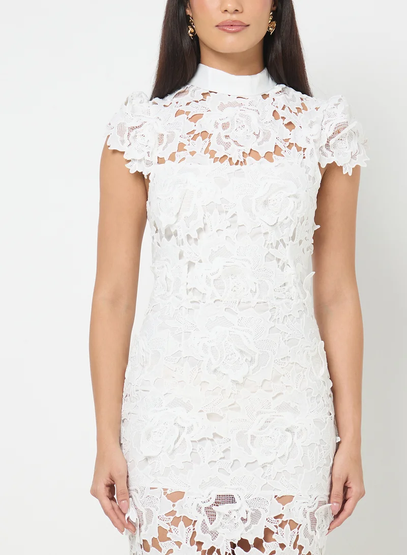 Ella Limited Edition Lace Shift dress