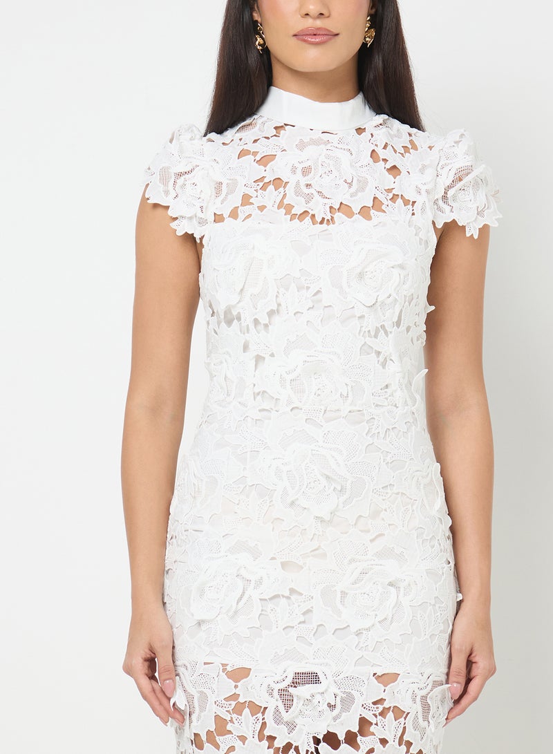 ايلا ليمتد اديشن فستان دانتيل - Image 3