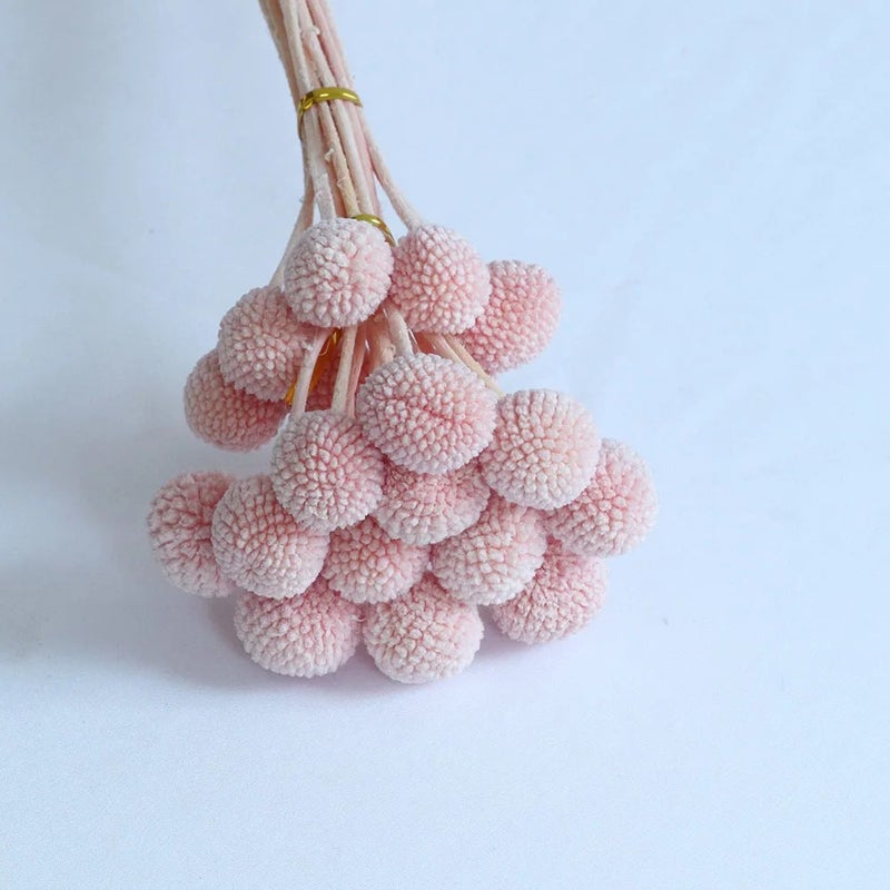 Y&D Colorful Dried Craspedia Golden Ball Flowers Bouquet - Natural Dried Plants Home Decor for Holiday & Wedding Supplies - Image 1