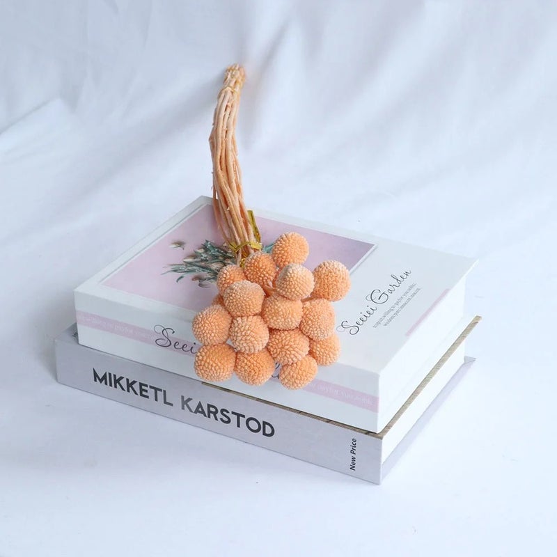Y&D Colorful Dried Craspedia Golden Ball Flowers Bouquet - Natural Dried Plants Home Decor for Holiday & Wedding Supplies - Image 3