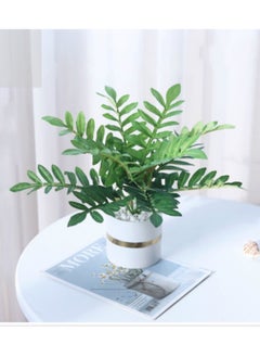 Vitacelli Ceramic Basin Simulation Green Plant Potted Decoration(Spring Feather)  - Image 1