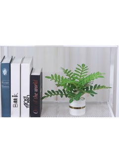 Vitacelli Ceramic Basin Simulation Green Plant Potted Decoration(Spring Feather)  - Image 2