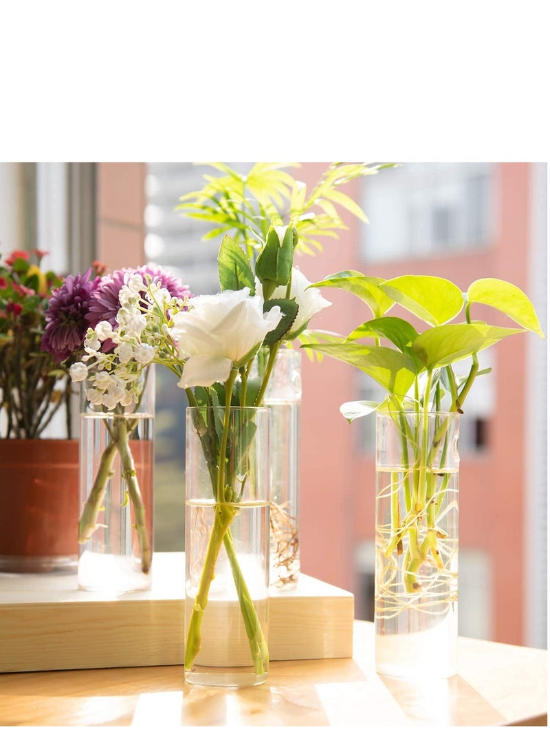 Captaintech Wall Hanging Planters, Glass Terrarium, Plant Containers Wall Vase Perfect for Propagating Hydroponic Plants Home Garden Wedding Decor 4 pieces  - Image 2