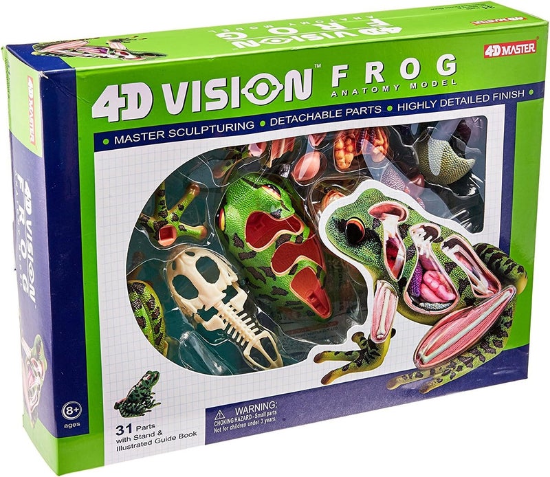 TEDCO 4D Vision Frog Anatomy Model with 31 Detachable Parts and Illustrated Guide - Image 1