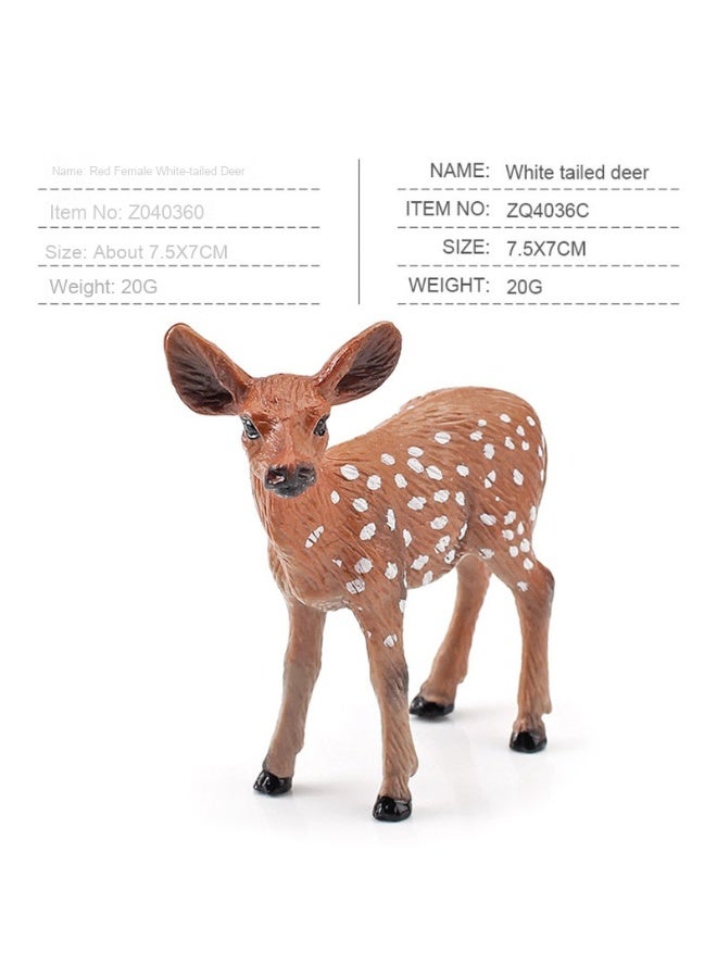 NIBEMINENT Children's Educational Cognitive Forest Animal Models - Red White-tailed Deer, Spotted Deer, and Elk Toys