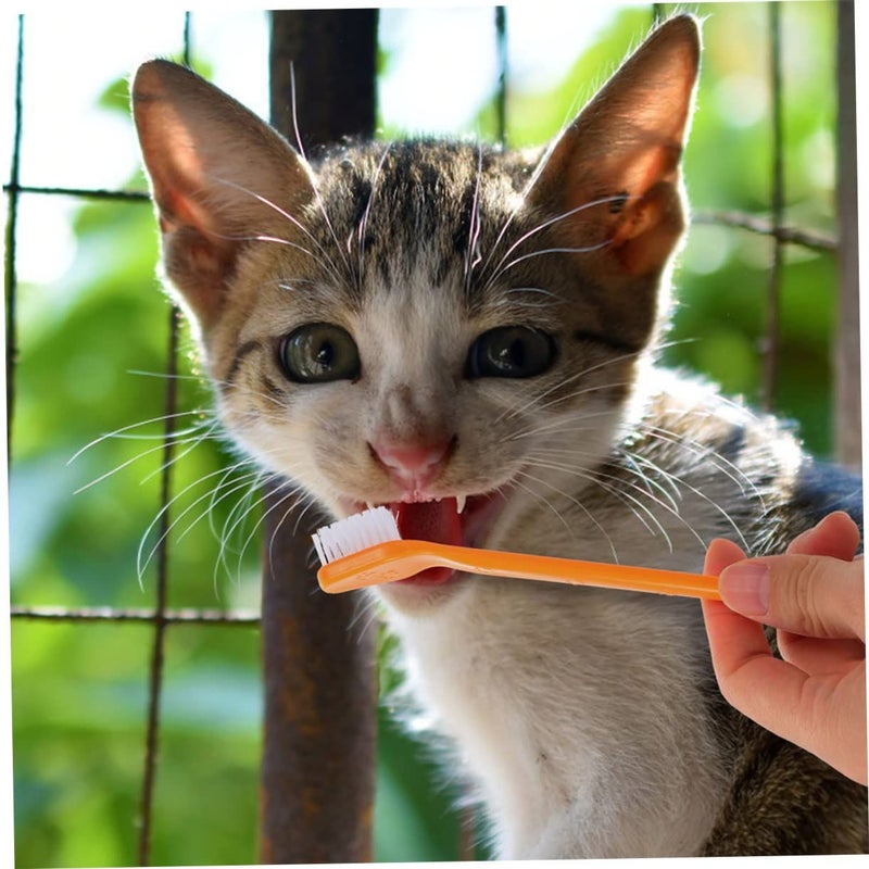 8 Pcs Ergonomic Dual Head Pet Toothbrush For Small Dogs And Puppies - Image 3