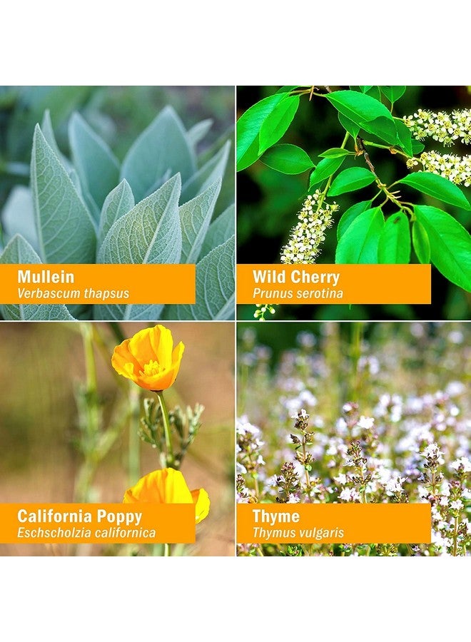 Herb Pharm Kids Certified-Organic Alcohol-Free Cough Crusader Liquid Herbal Formula, Wild Cherry, 1 Fl Oz - Image 3