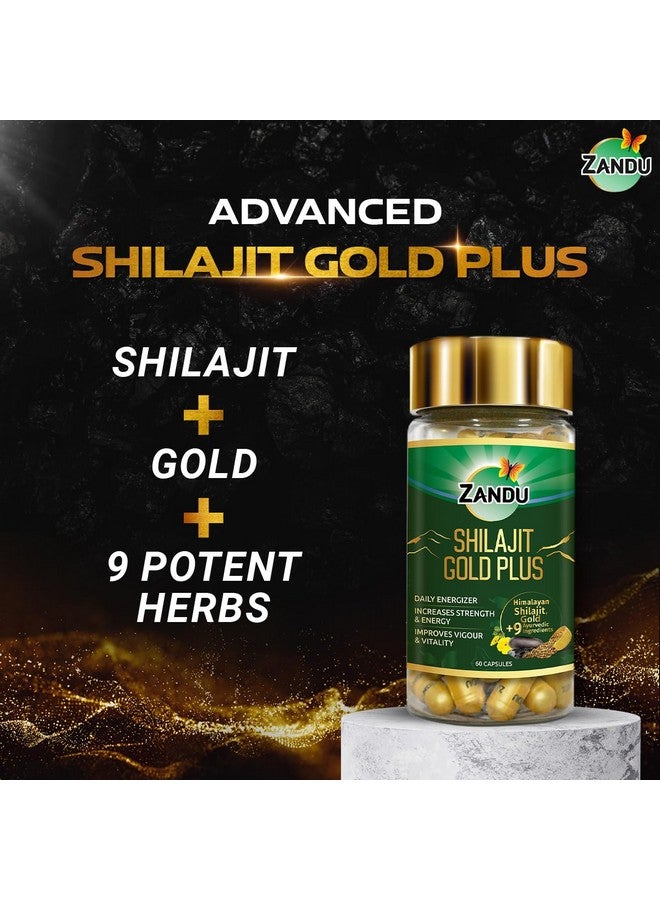 Zandu زاندو شيلجيت جولد بلس | 100% شيلجيت هيمالايا نقي + 24 قيراط ذهب + 9 أعشاب قوية | يعزز القوة، التحمل، الحيوية، النشاط والطاقة | تركيبة متقدمة تم اختبارها علمياً | 60 كبسولة - Image 2