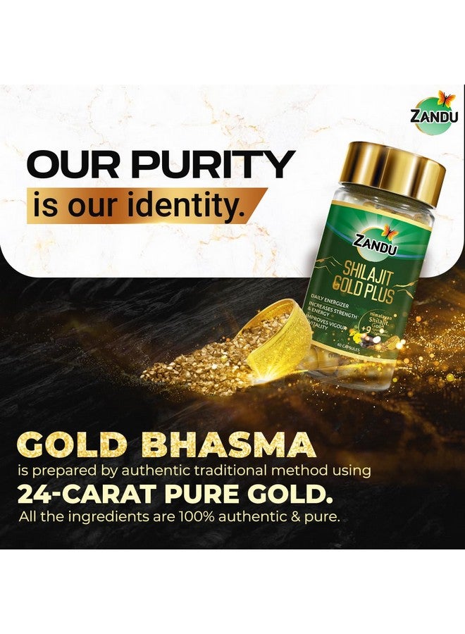 Zandu زاندو شيلجيت جولد بلس | 100% شيلجيت هيمالايا نقي + 24 قيراط ذهب + 9 أعشاب قوية | يعزز القوة، التحمل، الحيوية، النشاط والطاقة | تركيبة متقدمة تم اختبارها علمياً | 60 كبسولة - Image 4