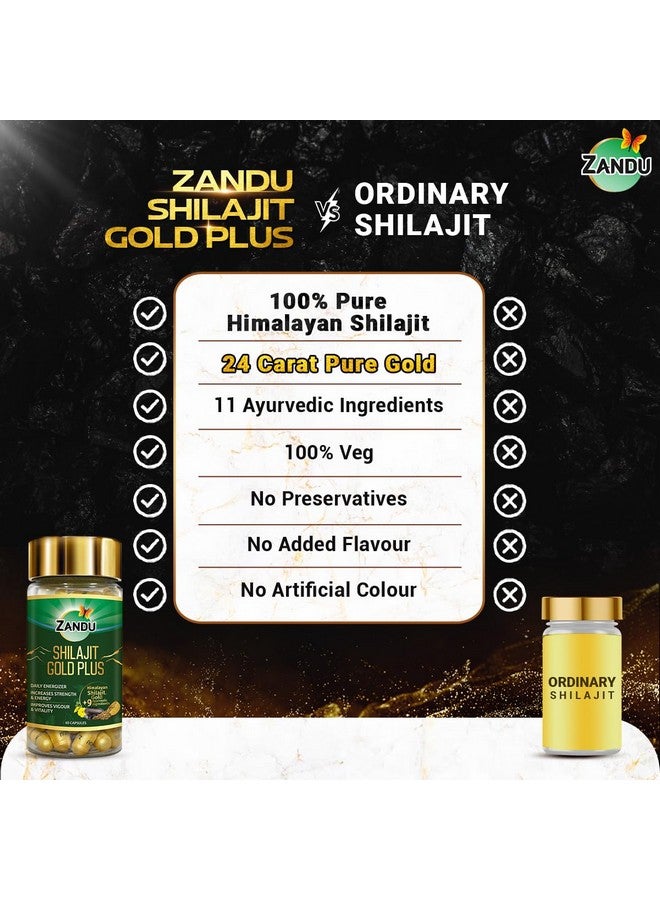Zandu زاندو شيلجيت جولد بلس | 100% شيلجيت هيمالايا نقي + 24 قيراط ذهب + 9 أعشاب قوية | يعزز القوة، التحمل، الحيوية، النشاط والطاقة | تركيبة متقدمة تم اختبارها علمياً | 60 كبسولة - Image 5