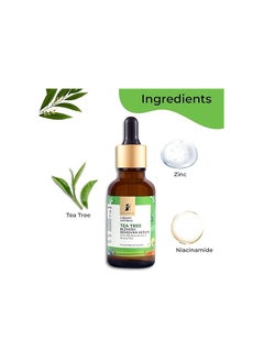 PILGRIM Tea Tree And 10% Niacinamide Blemish-Remover Serum 30 Ml  - Image 4