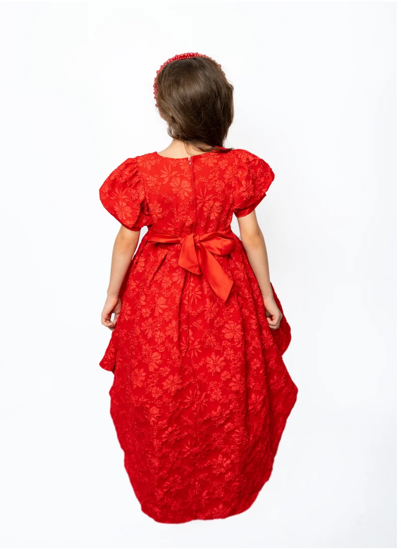 دىدانيالا Girls Red Tulle Floral Dress