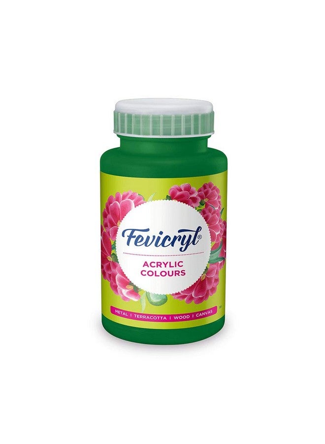 Fevicryl Acrylic Colour Dark Green, 500ml, Art and Craft Paint, DIY Paint, Rich Pigment, Non-Craking Paint for Canvas, Wood, Leather, Earthenware, Metal | Ideal for school projects, hobbyists, Artists - Image 1