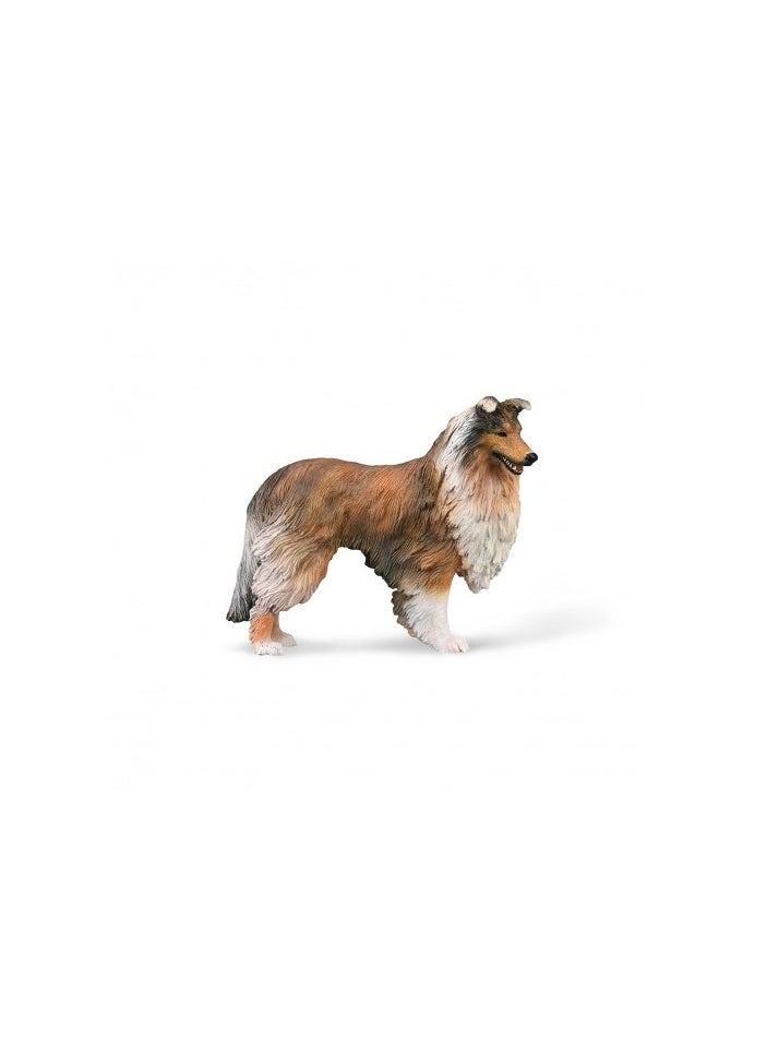 CollectA ROUGH COLLIE 